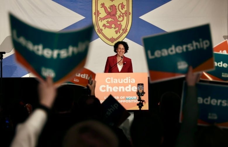 A woman smiles at a podium in front of a crowd of cheering supporters.