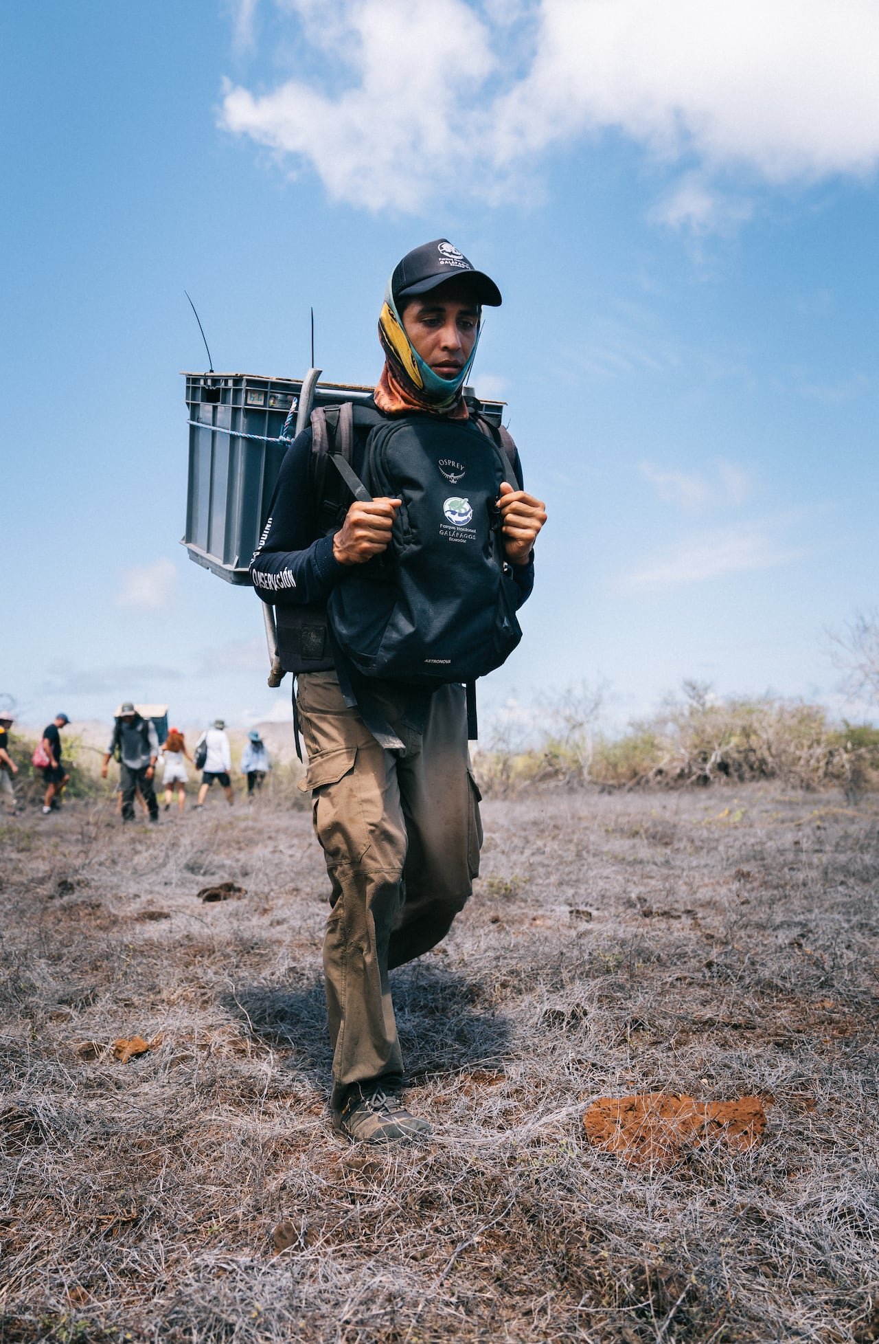 A man carrying a crate with one of the giant tortoises to the release site.