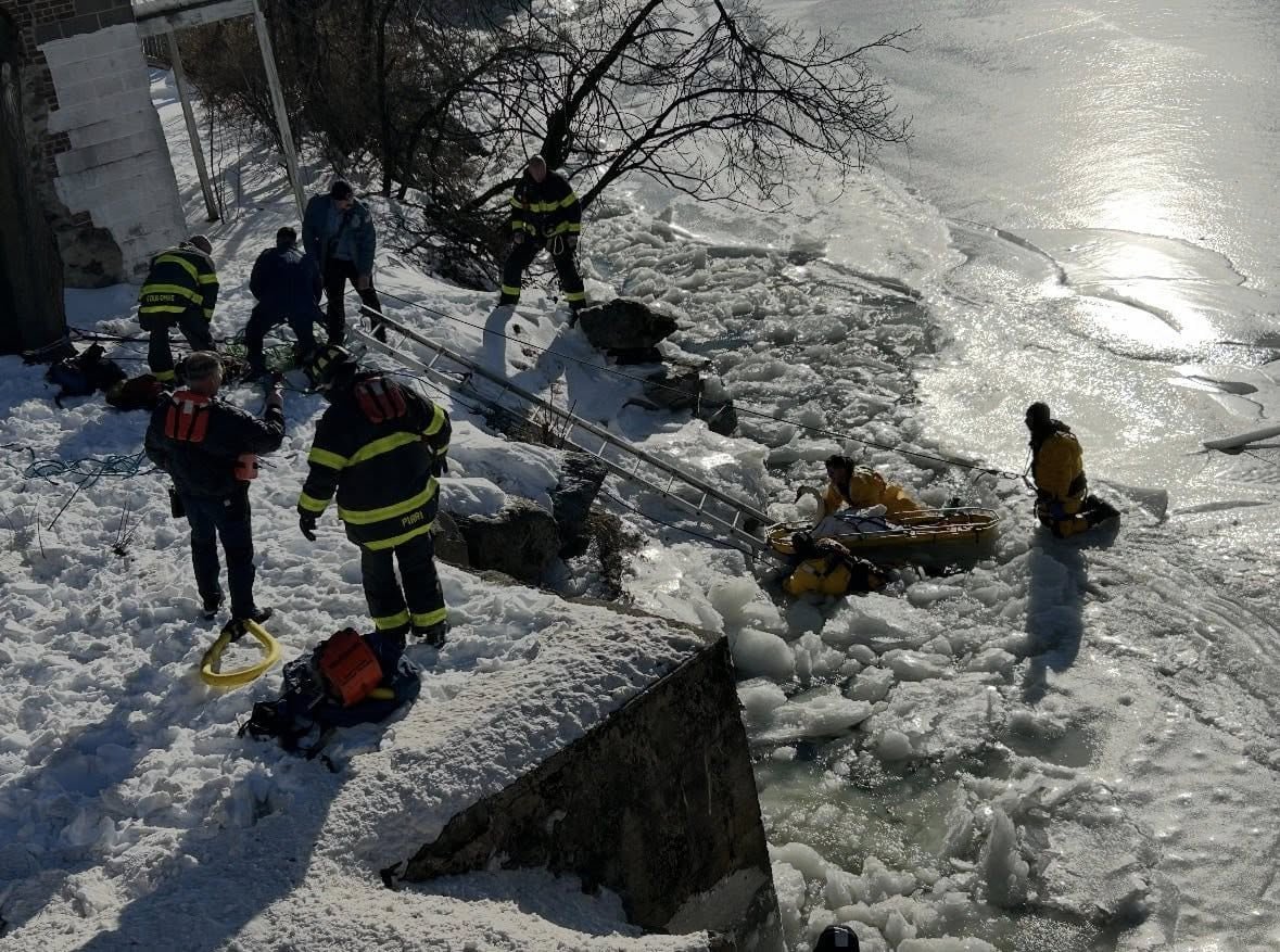 default-107 Three divers in yellow cold suits wade in the icy waters next to a swan fastened into a rescue basket as people in firefighter uniforms hoist it up a ladder onto land and an onlooker films with his phone.
